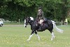 thornton-le-dale-gala showclass7acharity25-5-20161